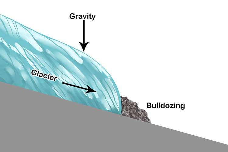 As gravity pulls the glacier down hill the ice will slowly move, scraping and bulldozing everything in its path.